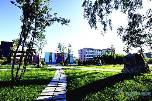為什么高職單招文化、面試和志愿填報(bào)三個(gè)方面都很重要？